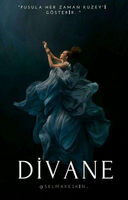 DİVANE ✔️ cover