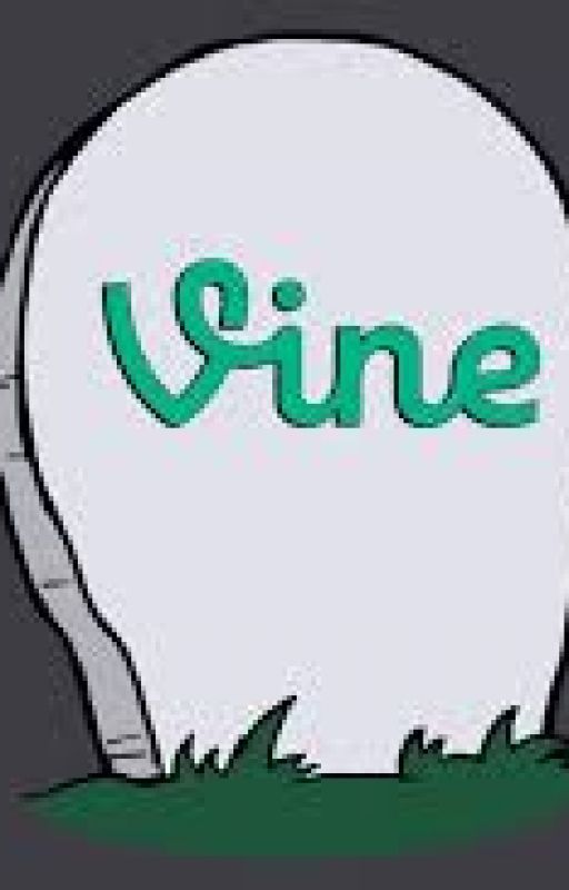 Vine Rewind by VineIsNotDead