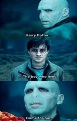 Harry Potter Funny Pictures  cover