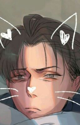 Levi Ackerman x Seme!Male!Reader cover