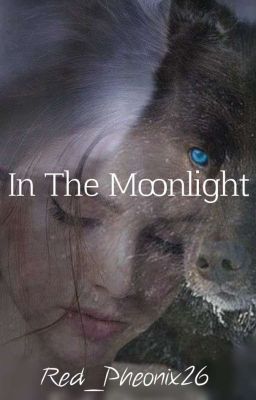 In the Moonlight [Completed] cover