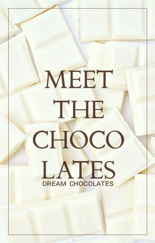 Meet the Chocolates by DreamChocolates