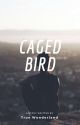 Caged Bird [T'Challa] by night_rain11