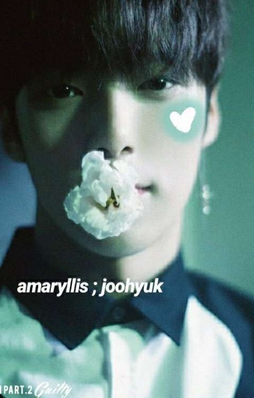 amaryllis ; joohyuk by ultshw