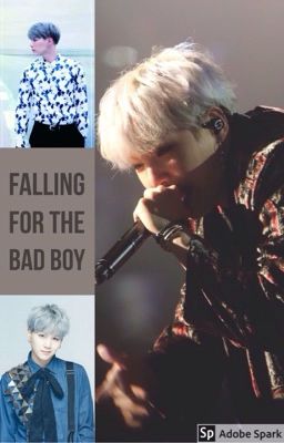 Falling For The Bad Boy cover