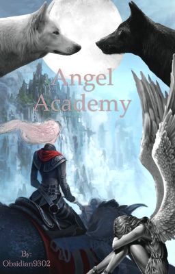 Angel Academy cover