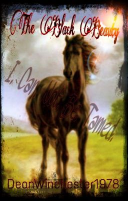 The Black Beauty (Wattys 2015) cover