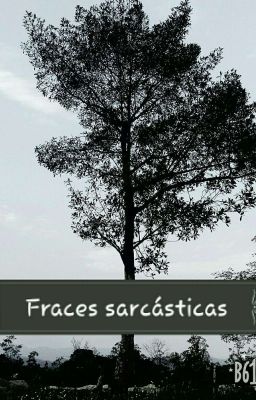 fraces sarcásticas cover