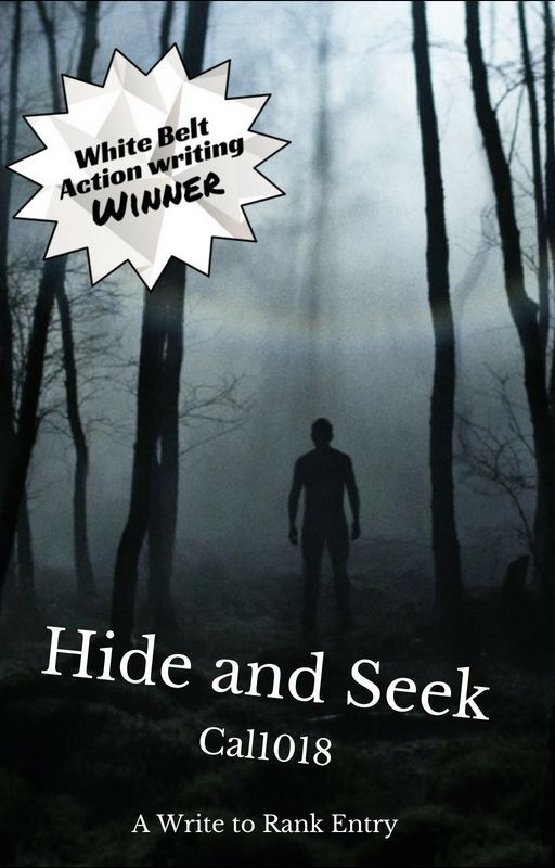 Hide and Seek - Write to Rank entry by Cal1018