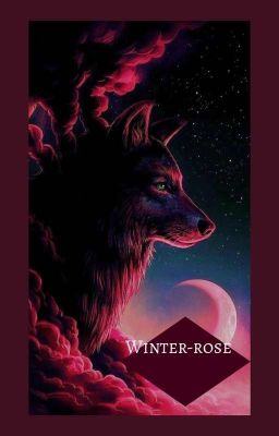 Winter-Rose cover