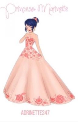 Miraculous Princess Marinette cover