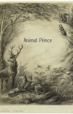 The Animal Prince cover