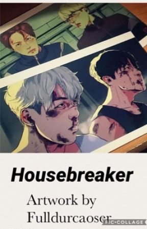 Housebreaker |VHOPE|•• by sutwaeji