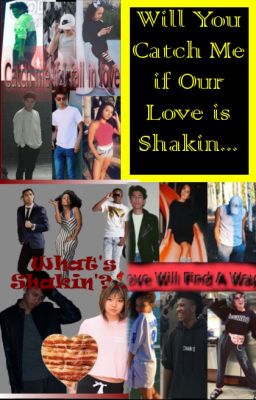 Will You Catch Me if Our Love is Shakin'?... cover