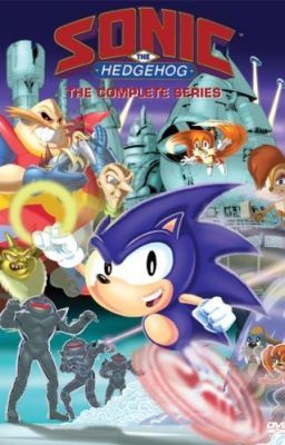 Sonic The Hedgehog (SatAM) X Reader cover