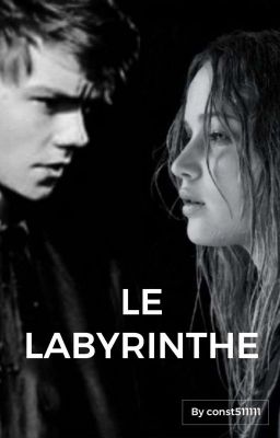 Le Labyrinthe cover