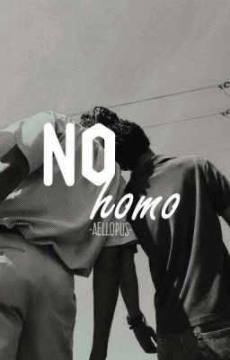 NO HOMO cover