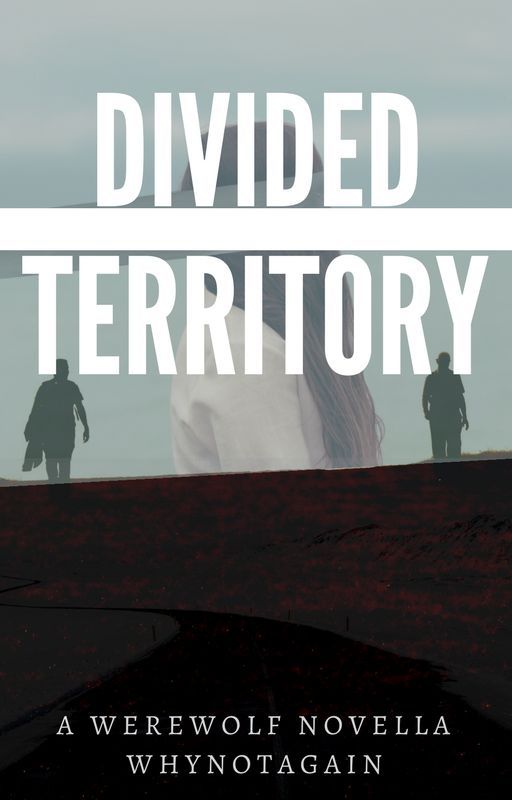 Divided Territory by Whynotagain