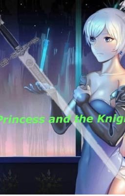 Princess and the Knight cover