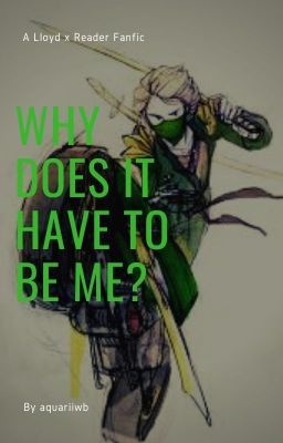 Why Does It Have To Be Me? (Lloyd x Reader) cover