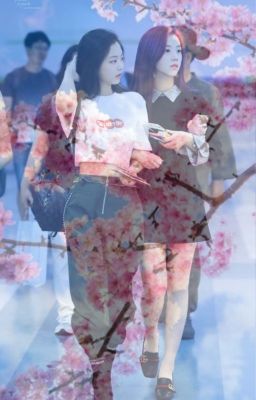 Cherry Blossoms ; Jensoo cover