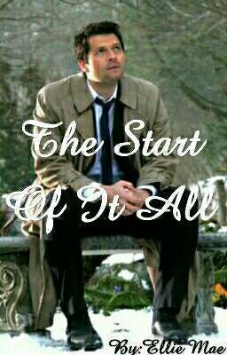 The Start Of It All (Castiel x Reader) (Discontinued) cover