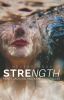 Strength |Percy Jackson & Kane Chronicles Fanfic| |Book 3|