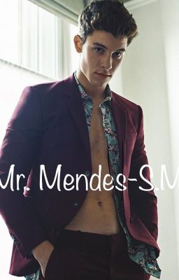 Mr. Mendes S.M. cover