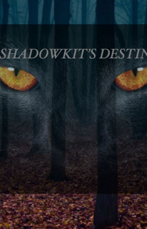 Warrior Cats- Shadowkit's Destiny by X_UniversalFlame_X