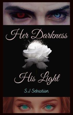 Her Darkness, His Light (Book 1) cover