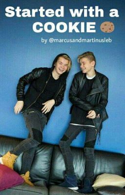 Started with a cookie... Marcus and Martinus cover