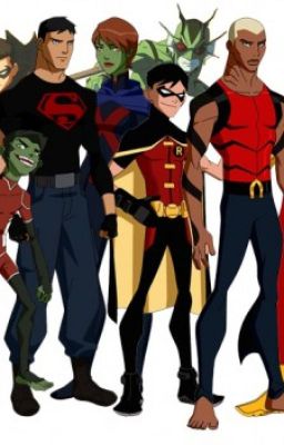 Young Justice: Shattered Heroes cover