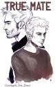 True Mate » Sterek by Jays_Work