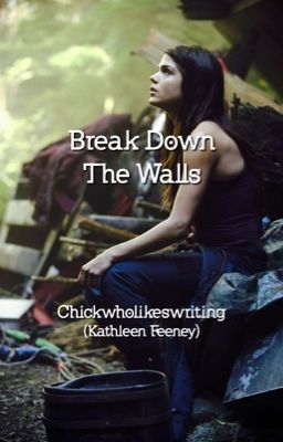 Break Down the Walls (Divergent Story) cover