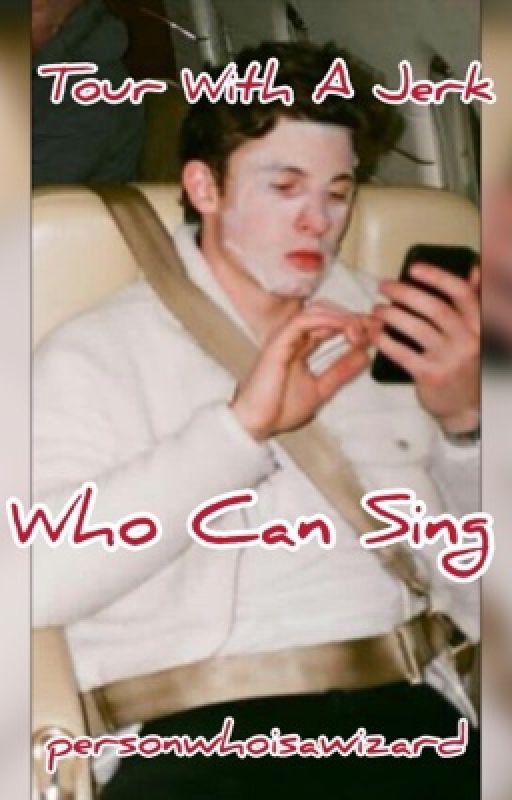 Tour With A Jerk Who Can Sing (Shawn Mendes FanFic) by personwhoisawizard