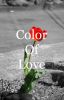 Color of Love