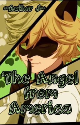 -The New Girl From The USA-   {Chat Noir X Reader} -!-COMPLETED-!- cover