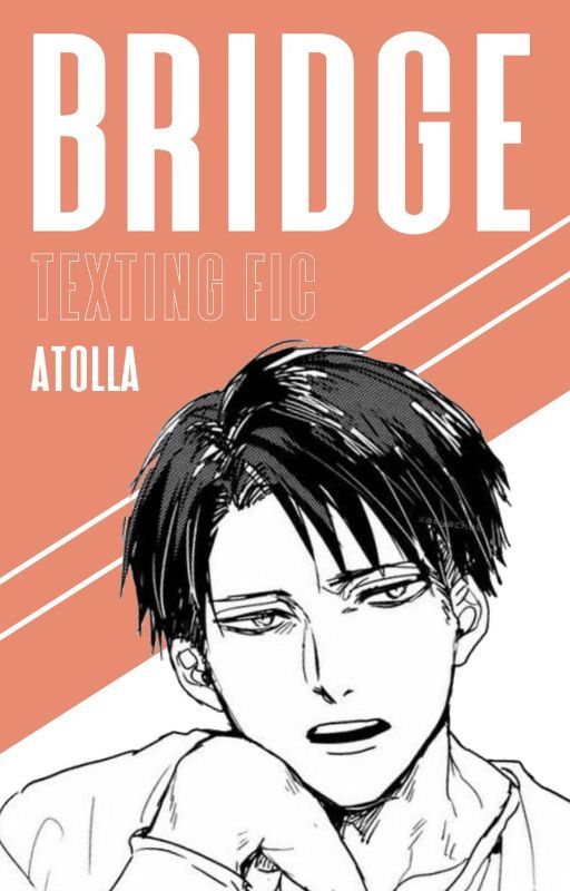 bridge  - (Levi x Reader) by atolla