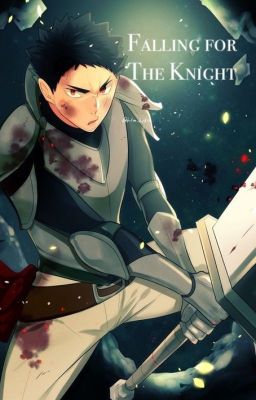 Falling for The Knight {Iwaizumi x Reader} cover