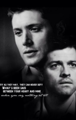 I Don't Talk Much (Destiel fanfic) cover