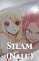 Steam (Nalu) by beeove