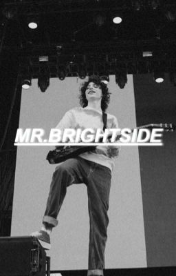 mr.brightside; wolfhard cover