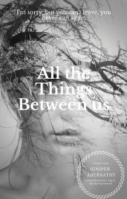 All the Things Between Us  cover