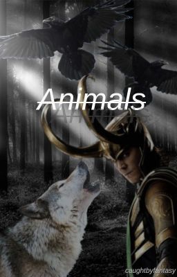 Animals (Loki x reader) cover