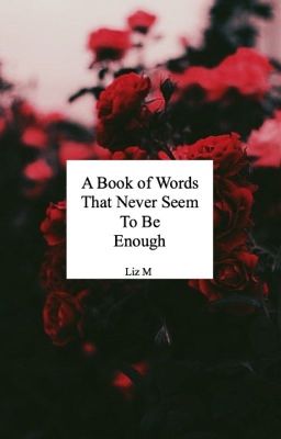 A Book of Words That Never Seem To Be Enough cover