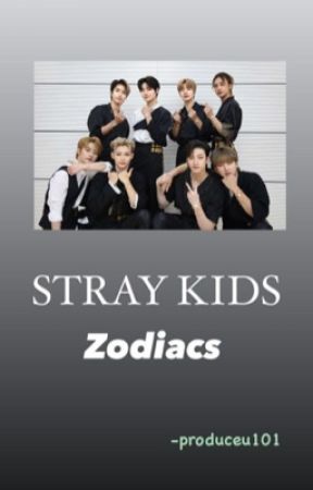 Stray kids zodiacs  by chiggenmagnahget