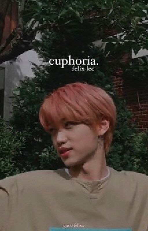 euphoria || felix lee stray kids [completed]  by guccifelixx