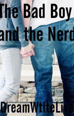 The Bad Boy and the Nerd cover