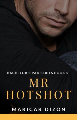 Bachelor's Pad book 5: Mr Hotshot (Ryan Decena) cover