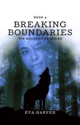 Breaking Boundaries (Book 4) cover